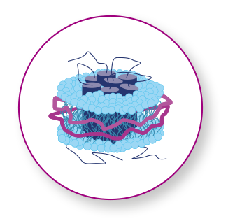 Biomedical Graphic